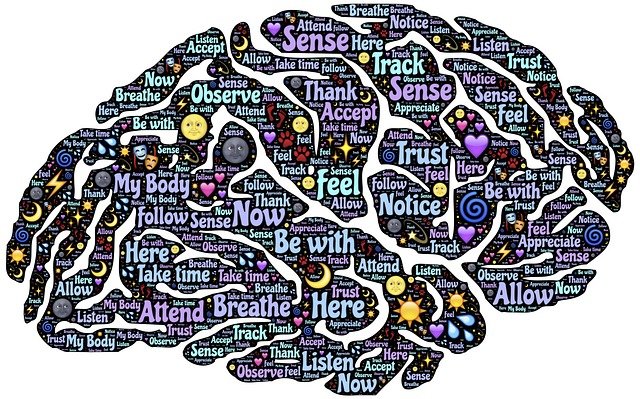 ventre cerveau deuxième cerveau anatomie chi nei tsang somatothérapie