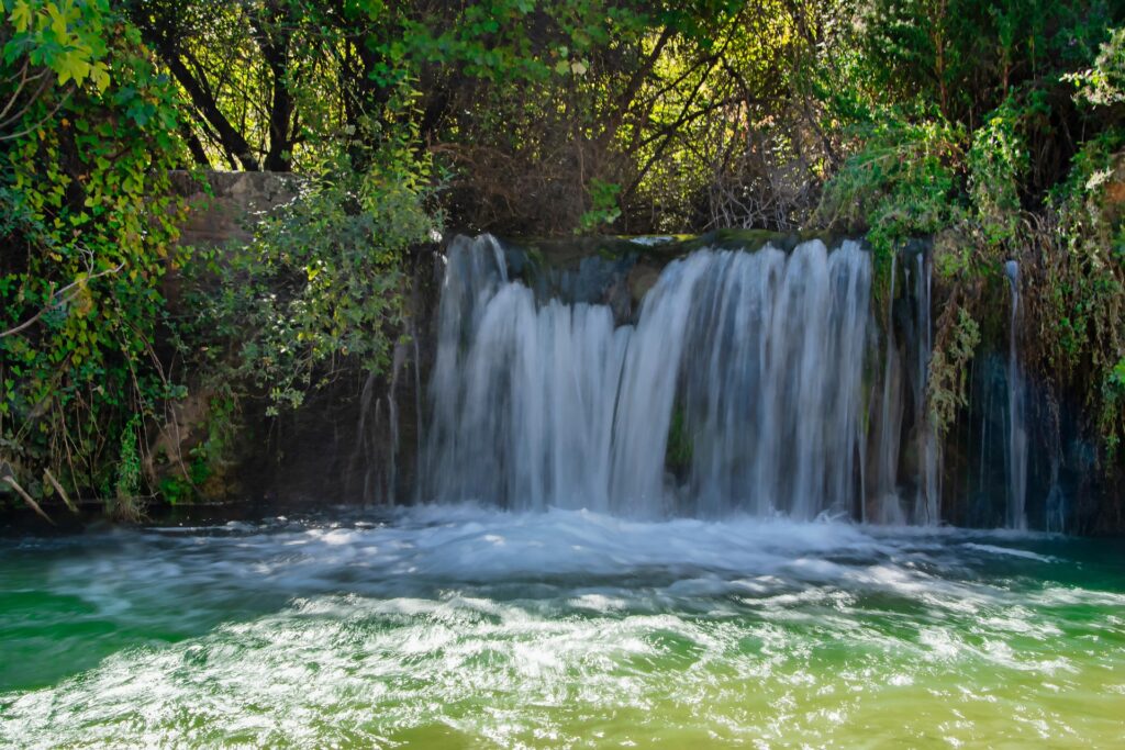 le foie organe à prendre soin oxygénation régénération chi nei tsang massage du ventre automassage auto chi nei tsang marie laure percot somatothérapeute praticienne de Chi Nei Tsang 50 rue pitr grenapin à st nazaire Loire Atlantique France