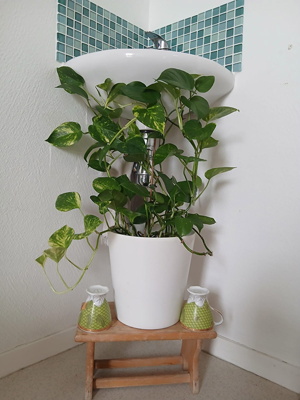 massage du ventre saint nazaire